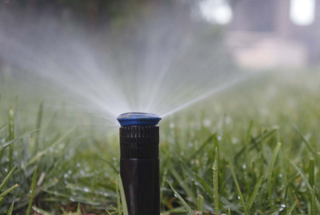 Рулонный газон купить в Челябинске